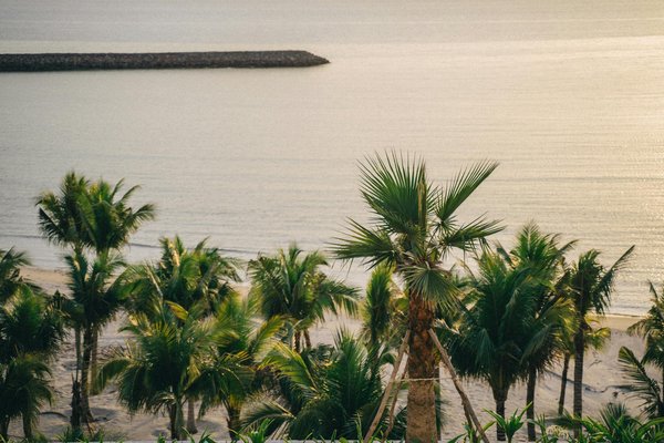 Comment explorer les grottes de glace en Islande en toute sécurité?